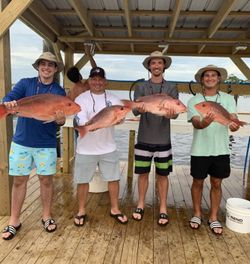 Red Snapper in Orange Beach, AL