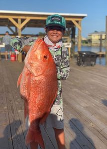 Red Snapper in Orange Beach, AL