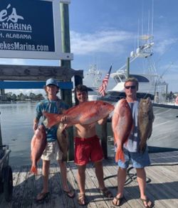 Red Snapper in Orange Beach, AL