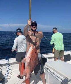 Red Snapper in Orange Beach, AL