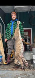 Maine Guided Hunts