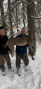A Great Day Hunting Bobcats In Maine