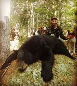 The Hunting Hounds Put In Good Work Today! 