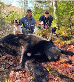 Top Guided Hunts In Maine