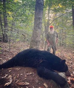 Trophy Bear Hunts