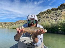 Mastering Trout Fishing Techniques