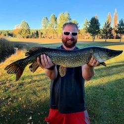 Explore Streams with Arizona Fishing Experts