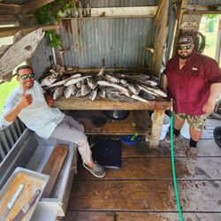 Best great fishing scene with 1 small fish in TX