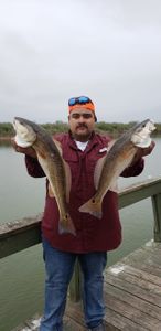 Two redfish caught while fishing at South Padre Island