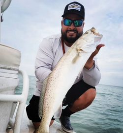 Silver carp, 23-inch fish caught while fishing in South Padre Island