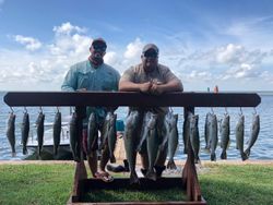 14 fish caught while fishing in TX