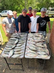 Enid Lake delivers again!