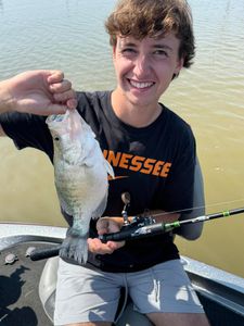 Enid lake local fish, simply beautiful.