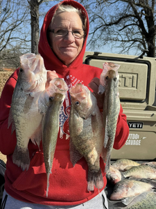 4 crappie fish caught while fishing in Pope