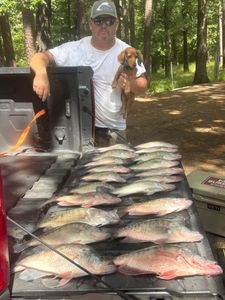 7 king mackerel caught while fishing in MS