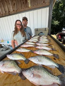 7 white crappie fish caught during a fishing trip in Pope
