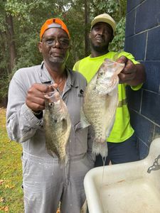 Two anglers fishing in Pope