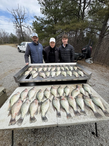 A group of 8 big fish caught while fishing in MS