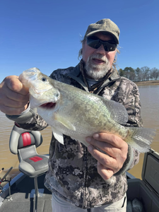 Angler holding a white crappie fish in MS