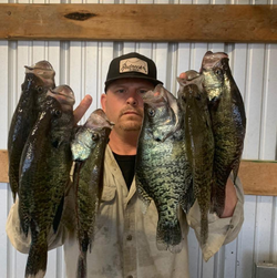 Crappie fishing in Pope