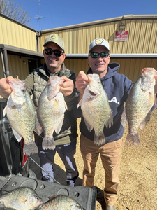 5 white crappie fish caught in Pope