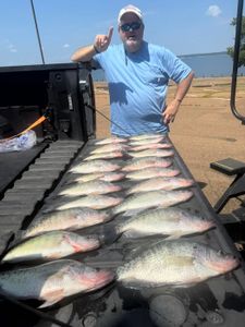 Three fishing rods with a person in the background, located in Pope