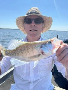 A single angler fishing at Pope