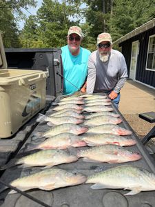 6 fish caught while fishing in MS