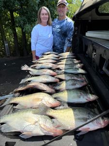 7 fish caught in Pope, fishing