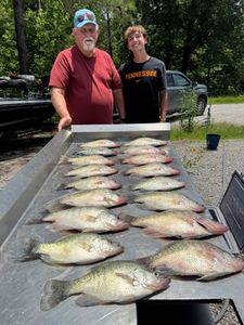 Nine white crappie fish caught in MS