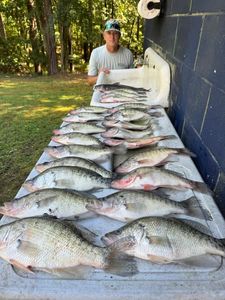 Angler fishing in Pope with 5 fish