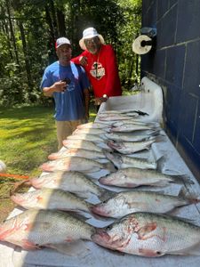 Eight fish caught fishing at Pope