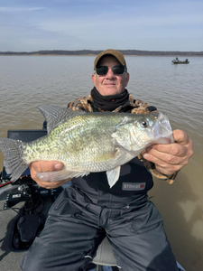 White crappie fish caught in MS