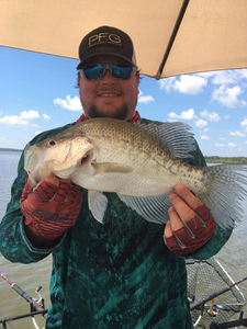 Catch of the day: White crappie fish from Pope
