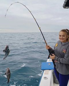 Two small fish caught while shore fishing in St. Marys