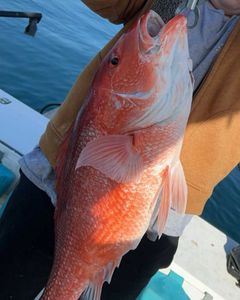 Fishing adventure in GA