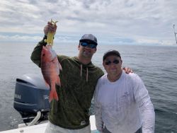 Grey Snapper fish caught in Georgia
