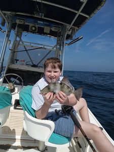 A grey triggerfish caught while fishing in GA