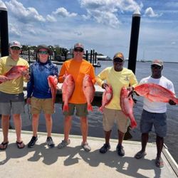 5 impressive freshwater fish caught in GA