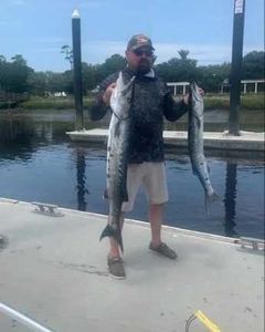 2 large fish caught while fishing in GA