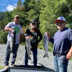 Three Chinook Salmon caught while fishing in Oregon