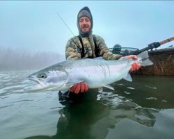 A single rainbow trout being caught while fishing in Oregon