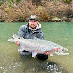 A pink salmon being caught while fishing in Oregon
