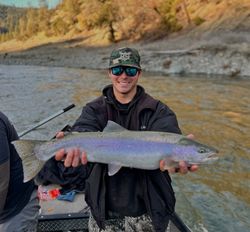 A single rainbow trout caught while fishing in Oregon