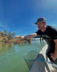 Angler catching a rainbow trout in Oregon