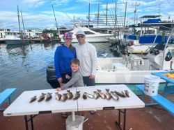 Three people fishing in FL