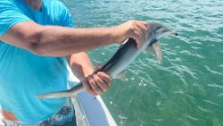 Fishing in FL