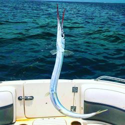 One fishing person at Marathon