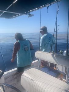Fishing in the beautiful location of Marathon
