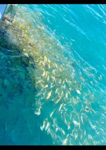 Fishing adventure in Marathon, Florida